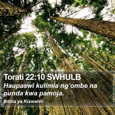 Torati 22:10 SWHULB Bible Verse Image