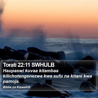 Torati 22:11 SWHULB Bible Verse Image
