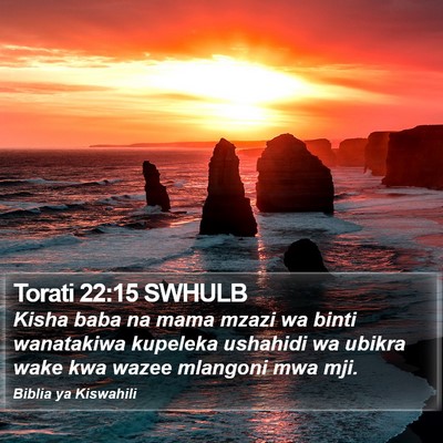Torati 22:15 SWHULB Bible Verse Image