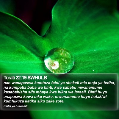 Torati 22:19 SWHULB Bible Verse Image