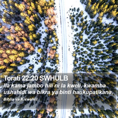 Torati 22:20 SWHULB Bible Verse Image