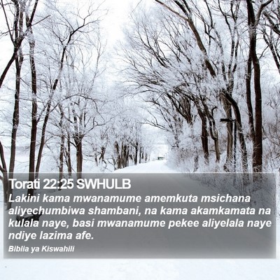 Torati 22:25 SWHULB Bible Verse Image