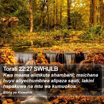Torati 22:27 SWHULB Bible Verse Image