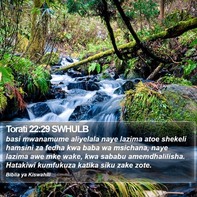Torati 22:29 SWHULB Bible Verse Image