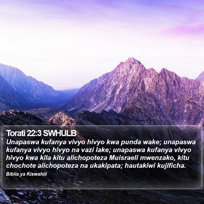 Torati 22:3 SWHULB Bible Verse Image