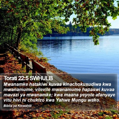 Torati 22:5 SWHULB Bible Verse Image
