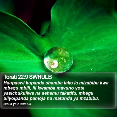 Torati 22:9 SWHULB Bible Verse Image
