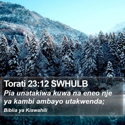Torati 23:12 SWHULB Bible Verse Image