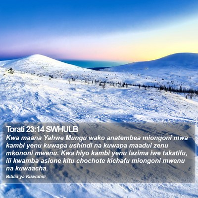 Torati 23:14 SWHULB Bible Verse Image