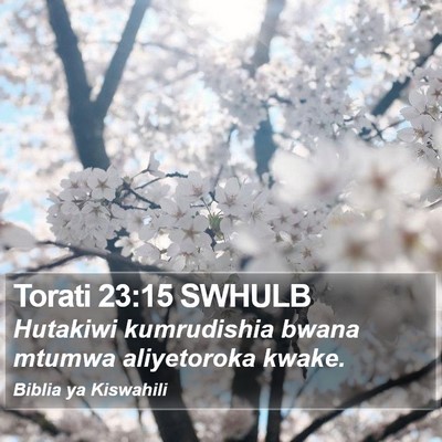 Torati 23:15 SWHULB Bible Verse Image