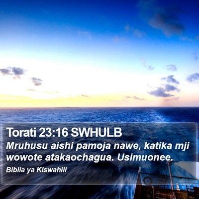 Torati 23:16 SWHULB Bible Verse Image