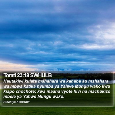Torati 23:18 SWHULB Bible Verse Image