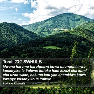 Torati 23:2 SWHULB Bible Verse Image