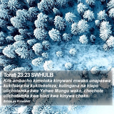 Torati 23:23 SWHULB Bible Verse Image