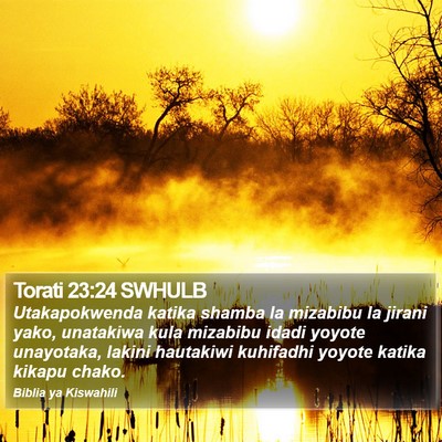 Torati 23:24 SWHULB Bible Verse Image