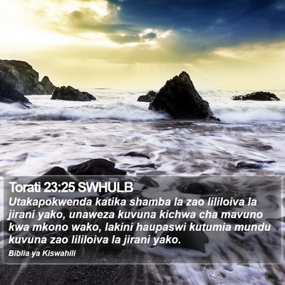Torati 23:25 SWHULB Bible Verse Image