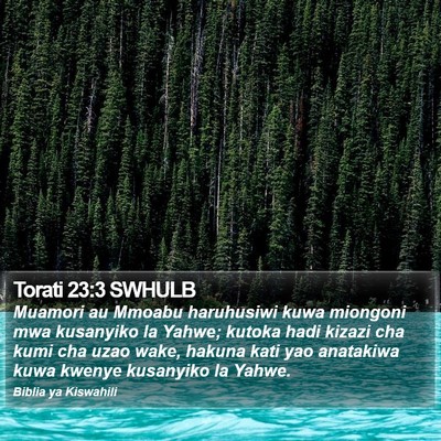 Torati 23:3 SWHULB Bible Verse Image