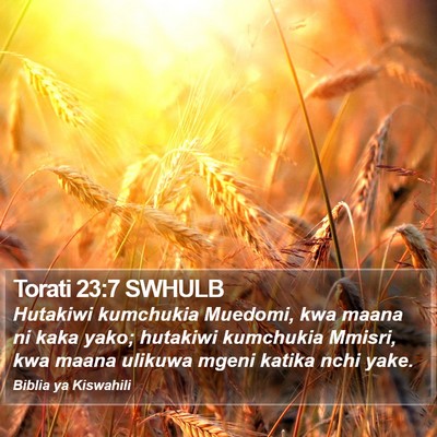 Torati 23:7 SWHULB Bible Verse Image