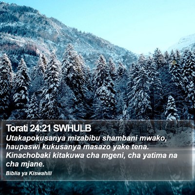 Torati 24:21 SWHULB Bible Verse Image
