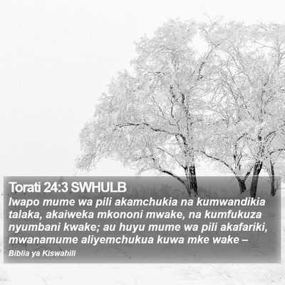Torati 24:3 SWHULB Bible Verse Image