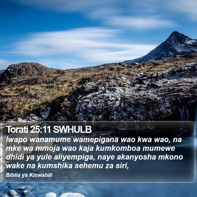 Torati 25:11 SWHULB Bible Verse Image