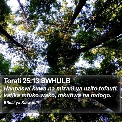 Torati 25:13 SWHULB Bible Verse Image