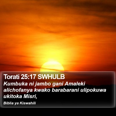 Torati 25:17 SWHULB Bible Verse Image