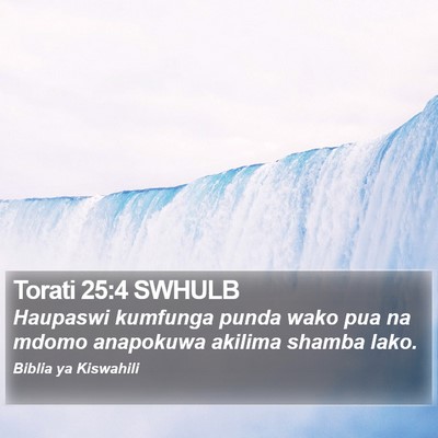 Torati 25:4 SWHULB Bible Verse Image