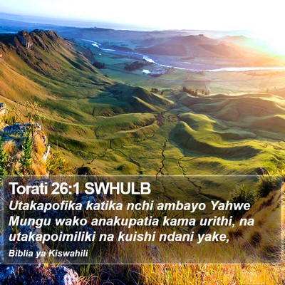 Torati 26:1 SWHULB Bible Verse Image