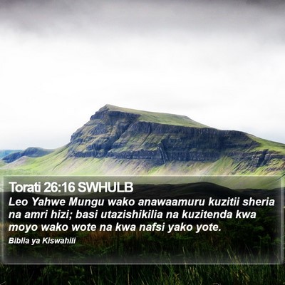 Torati 26:16 SWHULB Bible Verse Image