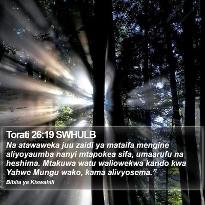 Torati 26:19 SWHULB Bible Verse Image