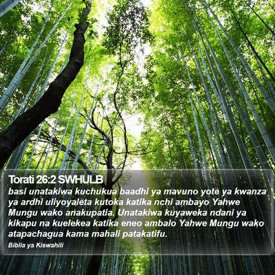 Torati 26:2 SWHULB Bible Verse Image