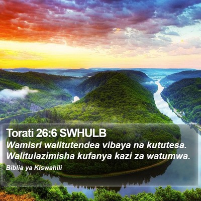 Torati 26:6 SWHULB Bible Verse Image