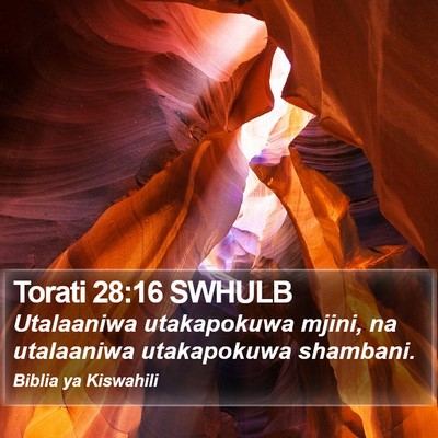 Torati 28:16 SWHULB Bible Verse Image