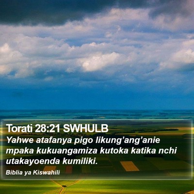 Torati 28:21 SWHULB Bible Verse Image