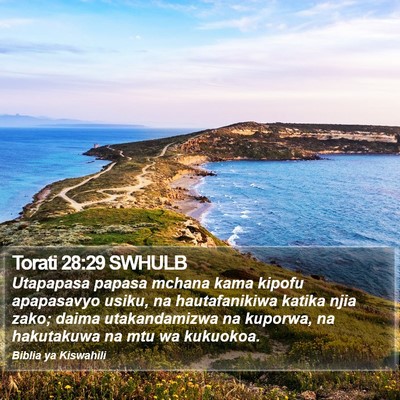 Torati 28:29 SWHULB Bible Verse Image