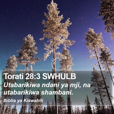Torati 28:3 SWHULB Bible Verse Image