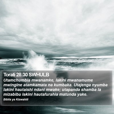 Torati 28:30 SWHULB Bible Verse Image