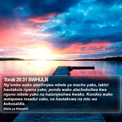 Torati 28:31 SWHULB Bible Verse Image