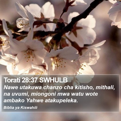 Torati 28:37 SWHULB Bible Verse Image