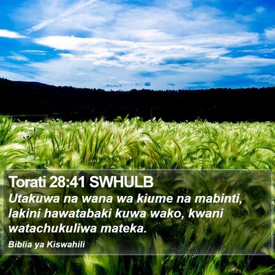 Torati 28:41 SWHULB Bible Verse Image