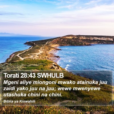 Torati 28:43 SWHULB Bible Verse Image