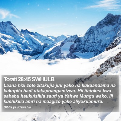 Torati 28:45 SWHULB Bible Verse Image