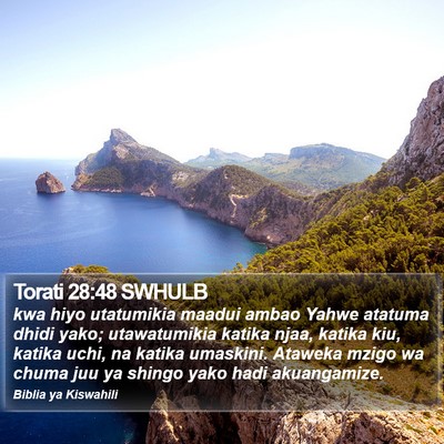 Torati 28:48 SWHULB Bible Verse Image