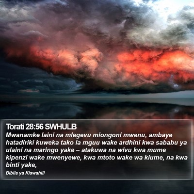 Torati 28:56 SWHULB Bible Verse Image
