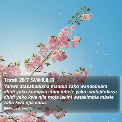 Torati 28:7 SWHULB Bible Verse Image
