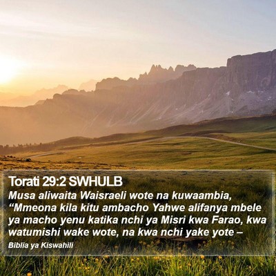 Torati 29:2 SWHULB Bible Verse Image