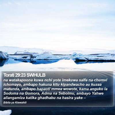Torati 29:23 SWHULB Bible Verse Image