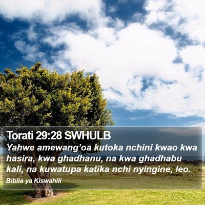 Torati 29:28 SWHULB Bible Verse Image
