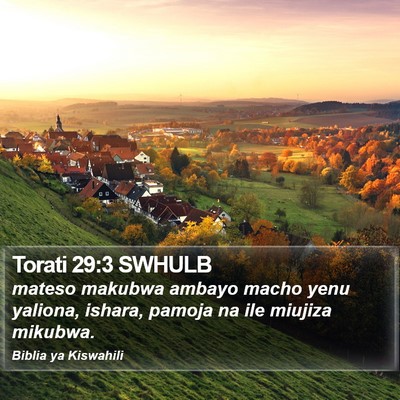 Torati 29:3 SWHULB Bible Verse Image